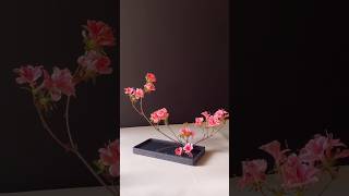 Japanese Azalea 🌺 Floral Design #flowers #flowermaking #ikebana