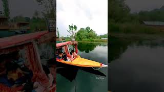 Shikara Ride in Dal Lake Kashmir | A trip to Srinagar | കശ്മീരിലെ ദാൽ താടാകത്തിലൂടെ ഒരു യാത്ര