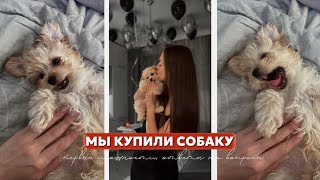 МЫ КУПИЛИ СОБАКУ🤍  | осуществили мечту