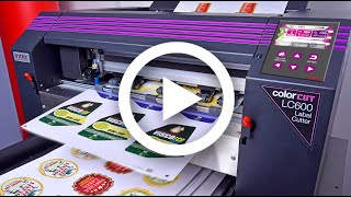 Ultra Fast Auto Feed Label Cutter - ColorCut LC600