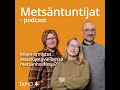 miten onnistut vesistöystävällisessä metsänhoidossa