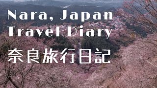 日本奈良櫻花季 ｜奈良公園｜郡山城跡｜吉野山｜賞櫻之旅