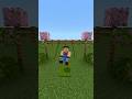 Working Swing in Minecraft #shorts