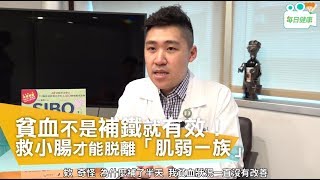 【名醫大聲公】 貧血不是補鐵就有效！救小腸才能脫離「肌弱一族」