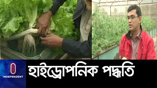 মাটি ছাড়া কেবল পানি ব্যবহার করে চাষাবাদে সাফল্য II Hydroponic Vegetable Cultivation