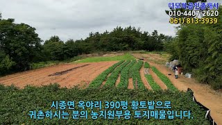 (1515)  농지원부용 392평 전(1,960만원) / 영암군 시종면 옥야리