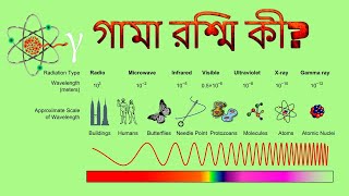 What is gamma ray || গামা রশ্মি কী?                                                       ''