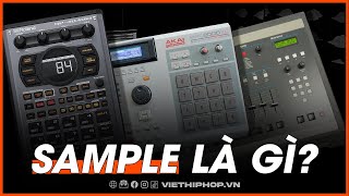 Sample là gì? | Định nghĩa và lịch sử phát triển