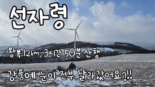 [평창 선자령] 눈꽃이 전부 강풍에 쓸려나갔어요??!! / 약 12km 산행시간 3시간 50분 /