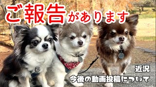 【ご報告】近況と今後の動画投稿について