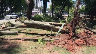 Após quatro dias, estragos causados por chuvas persistem em SP