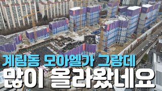 🏡계림동 교대역 모아엘가 그랑데🏡완벽임장/25년1월현장/입주일/분양가/현장모습/분양정보/매물시세