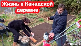 Высаживаем чеснок// дымим пчёл от клеща// готовим плов// жизнь в Канадской деревне