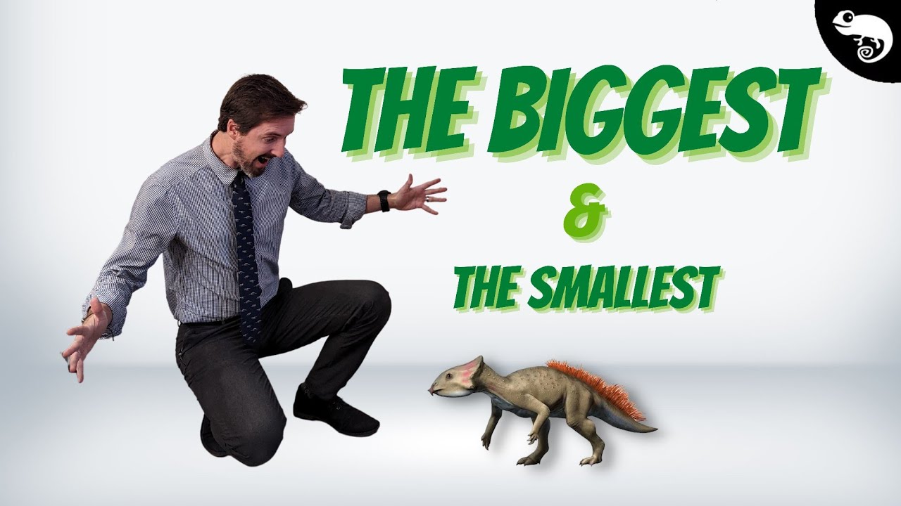 The Biggest And The Smallest Dinosaurs From Every Group Pet News Live The Biggest And The Smallest Dinosaurs From Every Group Pet News Live