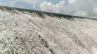 Narmala Cheruvu (Upper Manair Dam)