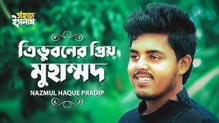 Tri Vuboner Priyo Muhammad | ত্রিভুবনের প্রিয় মুহাম্মদ | Nazmul Haque Pradip | Bangla Islamic Song