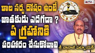 కాలసర్ప దోషం ఉంటే జాతకుడు ఎదగడా ? | Remedy For Kalasarpa Dosha | Astrology | Telugu Dharma Sandehalu