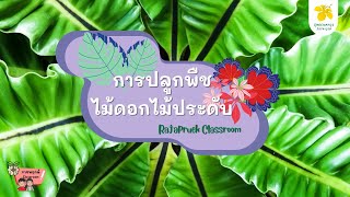 การปลูกพืช ไม้ดอกไม้ประดับ EP.1 | ราชพฤกษ์ Classroom