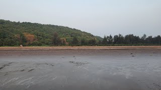 Dabhol Beach Dapoli