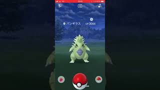 【CP3000超え】野生バンギラス登場！【ポケモンGO】