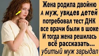 Жена родила двойню, а муж, увидев сыновей потребовал тест ДНК  И тогда жена решила всё рассказа