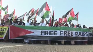 Karachi protesters express solidarity with Palestinians in Gaza