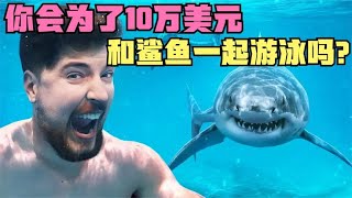 ?你會為了10萬獎金，和鯊魚一起游泳嗎？?奇葩的挑戰 #科學實驗 #科學試驗 #格蘭特 #亞當 #傑米