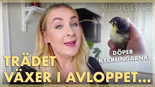 Ni är så jäv*a dryga! 🥵 | VLOGG