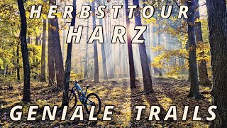 Mountainbike Herbsttour im Harz auf genialen Trails