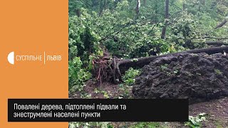 Сюжет 12.06.2020 На Львівщині усувають наслідки негоди: працюють комунальники та аварійні бригади