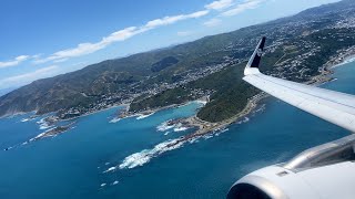 Flight Review - Air New Zealand A320 Wellington (WLG/NZWN) to Auckland (AKL/NZAA) NZ432 / ZK-OXK