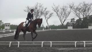 第38回全日本ヤング総合馬術大会2017　馬場馬術競技　EV100　4年　今橋　裕晃　桜彩