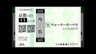 2025年2月9日 レース回顧　#きさらぎ賞2025 #東京新聞杯2025 流石に怒りの騎乗