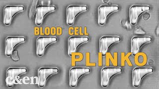 Microfluidics boost blood cell production