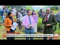 የኢቢሲ አረንጓዴ አሻራ ቀን etv ethiopia news zena