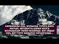 КӨПБАЛАЛЫ АНА ЖҰМЫСҚА ТҰРУҒА БАРА ЖАТЫП АВТОБУСТА ҚАРИЯҒА ЖОЛАҚЫСЫН ТӨЛЕП ЖІБЕРЕДІ. БІР АЙДАН СОҢ