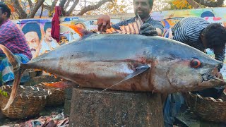 KASIMEDU💥🔥KUMARU 95 KG VERY VERY BIG😱🤯🤩SIZE TUNA FISH CUTTING VIDEO/ FULL VIDEO / MUST WATCH