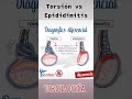 #Torsión #Testicular vs #Epididimitis #Urología #Medicina #Resúmenes #Tips