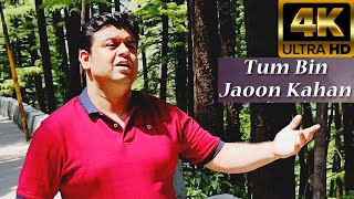 Tum Bin Jaoon Kahan 4K | Pyar Ka Mausam | Mohd Rafi Rare Songs | Shashi Kapoor | Mussoorie