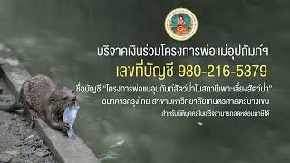 บุ๋ม ปนัดดา วงศ์ผู้ดี  โครงการพ่อแม่อุปถัมภ์สัตว์ป่าในสถานีเพาะเลี้ยงสัตว์ป่าฯ