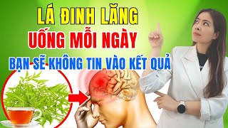 Không Ngờ! Đây Mới Là bí mật của lá Đinh lăng Được Giấu Kín Bấy Lâu Nay | Đỗ Ngọc Diệp