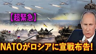 【ウクライナ戦況】最新ニュース 2025年2月18日