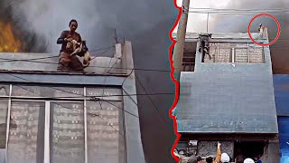 Homeless man climbs high-rise building, rescues 27 dogs trapped in fire