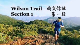 跑山-衛奕信徑第1段 Solo Trail Running - Wilson Trail Section 1