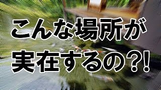 【海外の反応】外国人が日本のあり得ない光景に仰天!「日本の水がきれいすぎる!」【すごい日本】