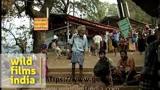 Sabarimala devotees halt at Appachimedu!