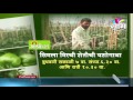 agropromo success story of ravindra dewarwale capsicum farming