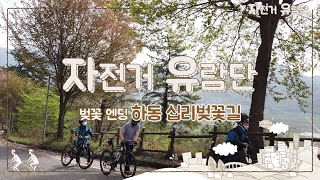 자전거 유람단 - 제4화 벚꽃 엔딩 '하동 십리벚꽃길'