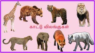 Wild animals | காட்டில் வாழும் விலங்குகளின் பெயர்கள் | #தமிழ்கற்போம் #learntamil @Chuttikidslearning