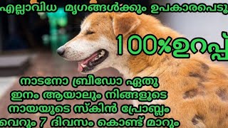 നിസ്സാരം ആണ് ഇതൊക്കെ #dogsskinproblem#dogshairfall#dogsskinproblemsolution#palakkadanchangathi